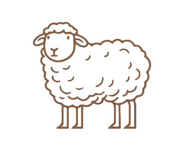 صدقة