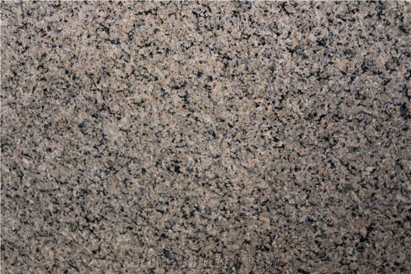 جرانيت نجران تروبيكال - Najran Tropical Granite