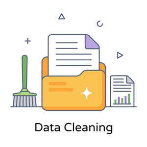 Data cleaning and auditing