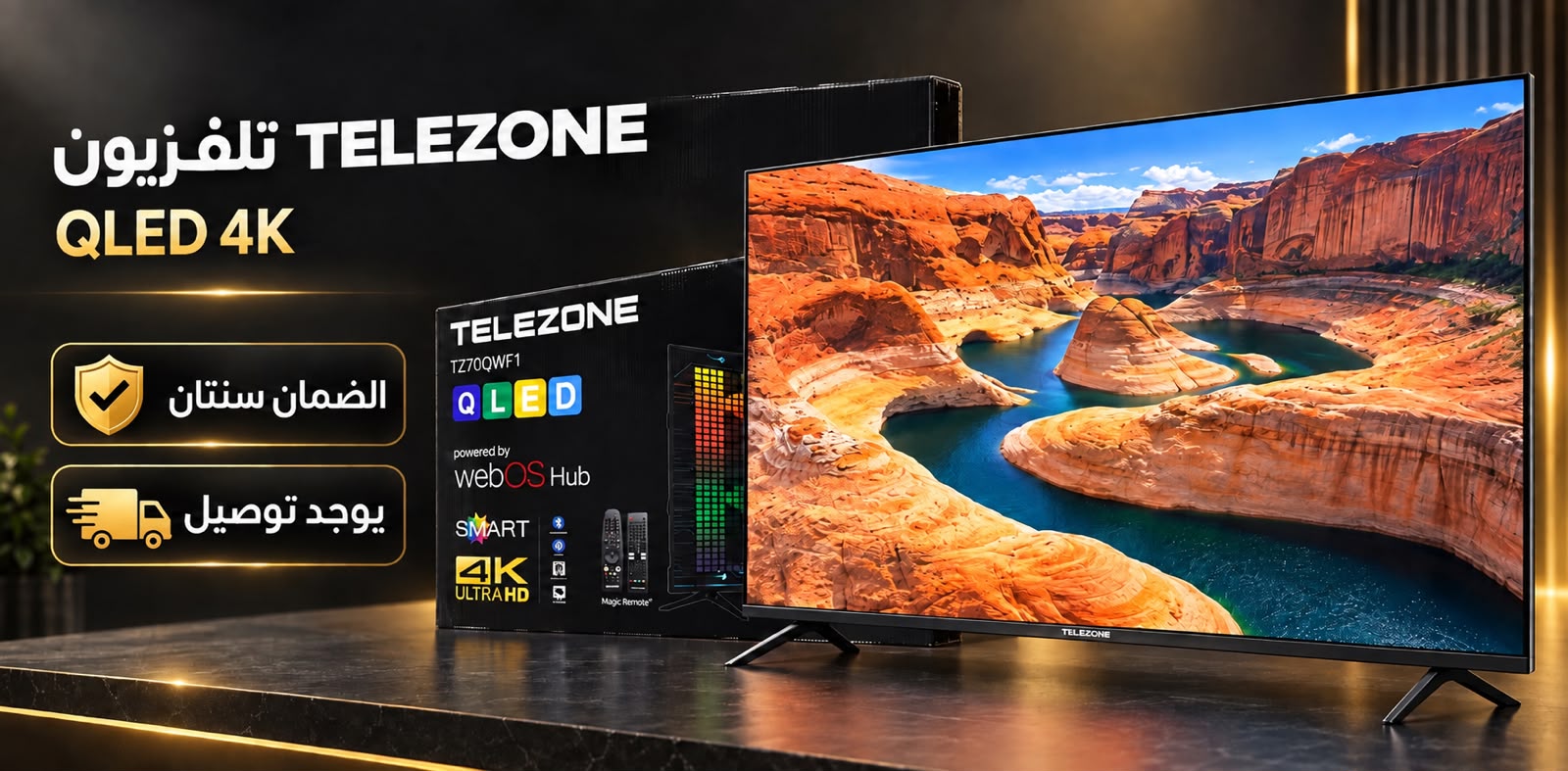 تلفزيونات TELEZONE