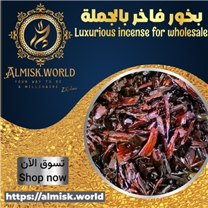 🚀عود المجالس